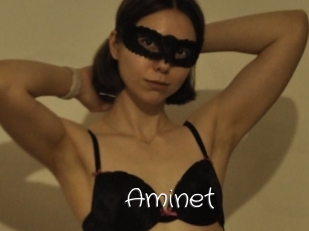 Aminet