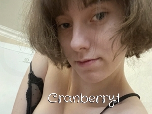 Cranberry1