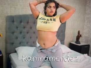 Kariinamendez