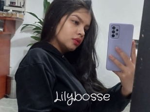 Lilybosse