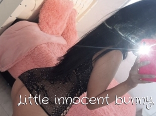 Little_innocent_bunny