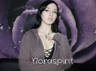 Noraspirit