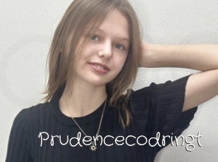 Prudencecodringt