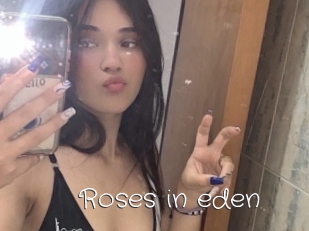 Roses_in_eden