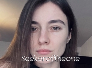 Seekeroftheone