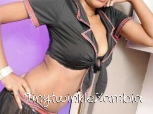 TinytwinkleZambia