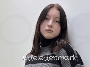 Udeledenmark