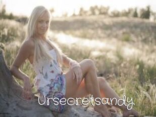 Ursecretsandy