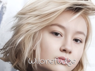 Wilonefudge